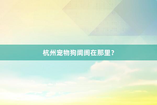 杭州宠物狗阛阓在那里？