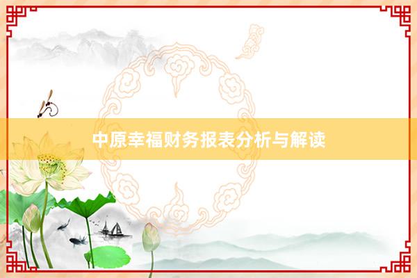 中原幸福财务报表分析与解读
